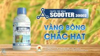 TVC SCOOTER | VÀNG BÔNG CHẮC HẠT