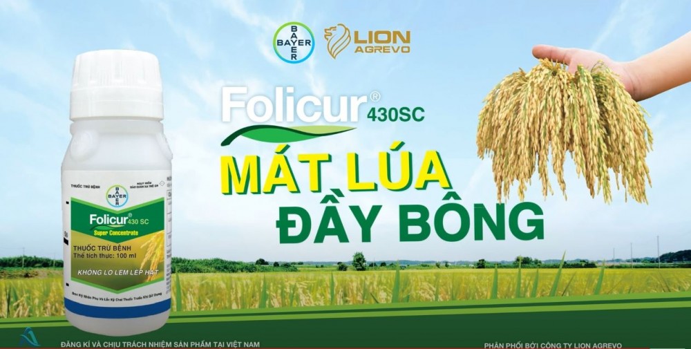 TVC FOLICUR 430 SC | MÁT LÚA ĐẦY BÔNG